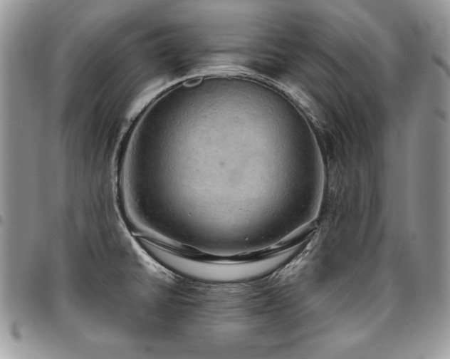 X0000097301430200802151428