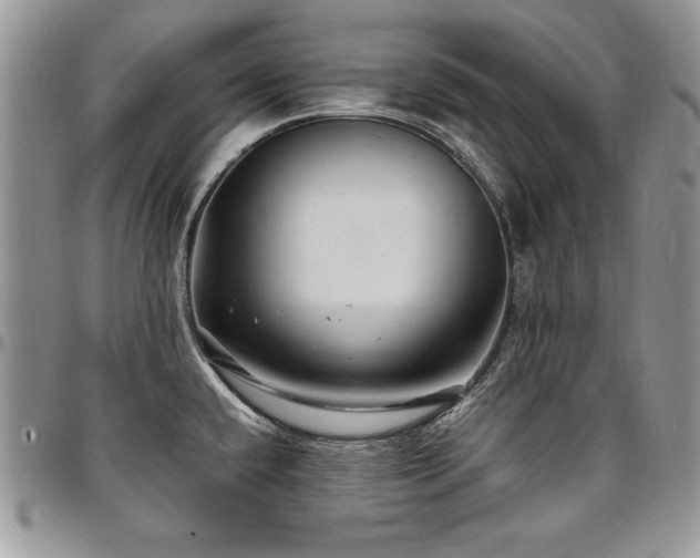 X0000097301432200802151428