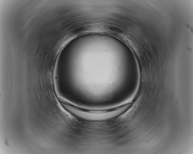X0000097301433200802151428