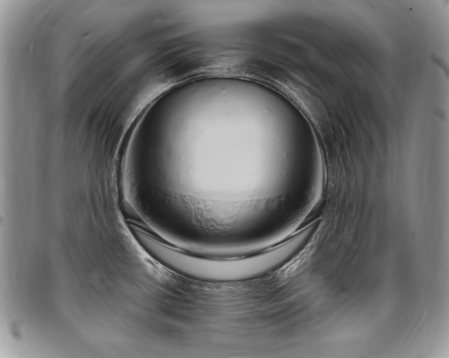 X0000097301434200802151428