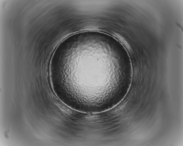 X0000097301435200802151428