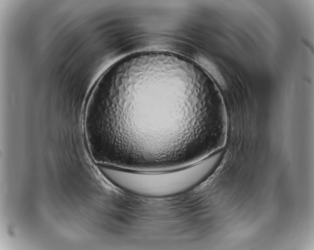 X0000097301436200802151428