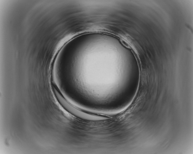 X0000097301437200802151428