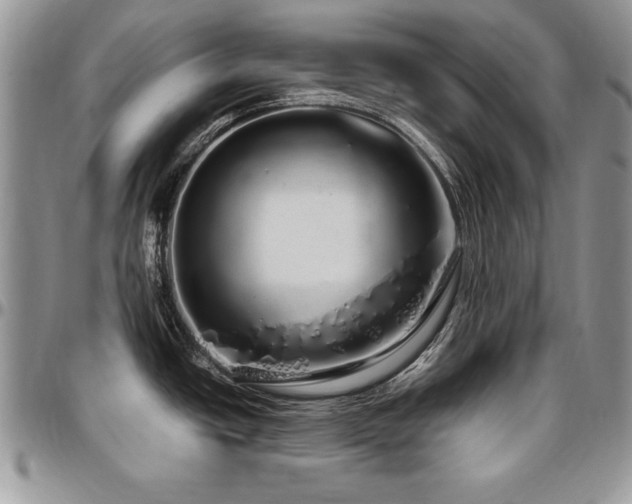 X0000097301438200802151428