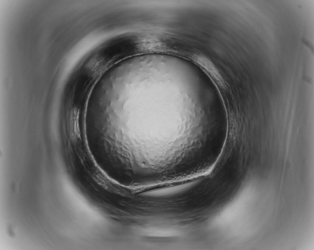 X0000097301439200802151428