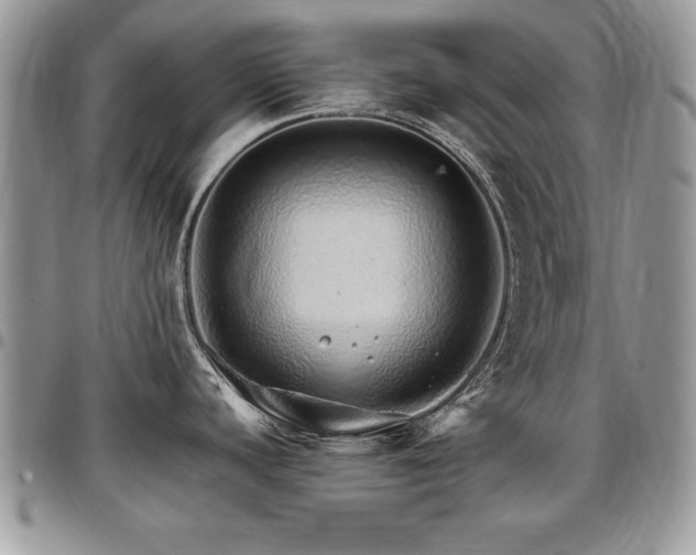 X0000097301440200802151428