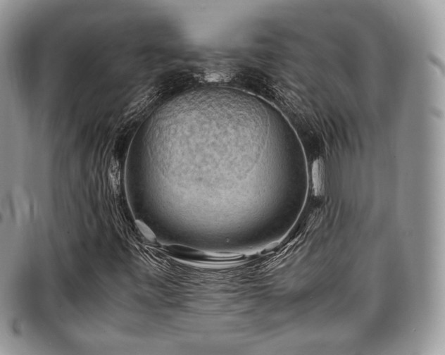 X0000097301443200802151427