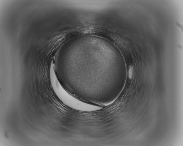 X0000097301444200802151427