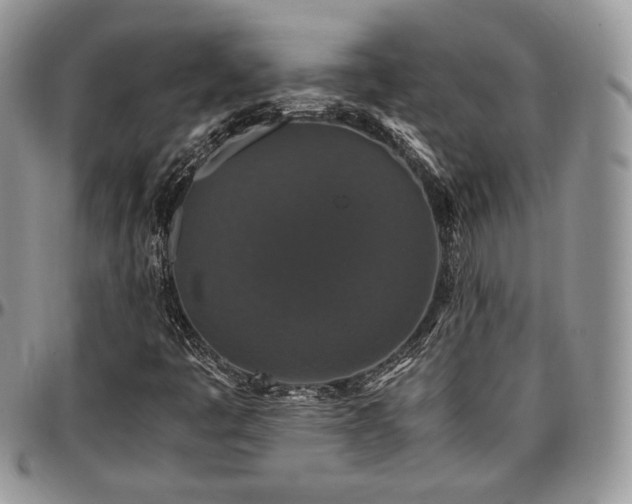 X0000097301445200802151427