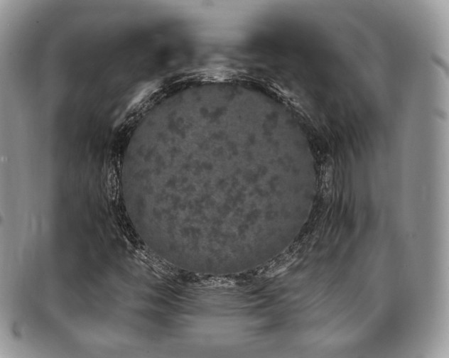 X0000097301446200802151427