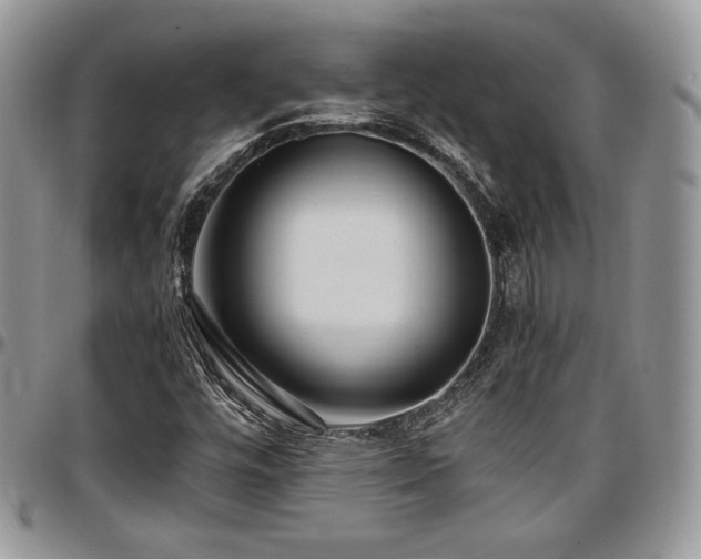 X0000097301448200802151427