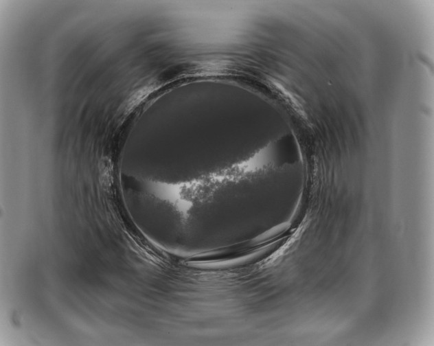 X0000097301449200802151427