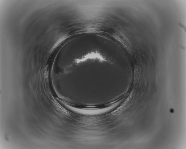 X0000097301450200802151427