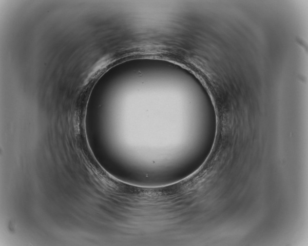X0000097301451200802151427