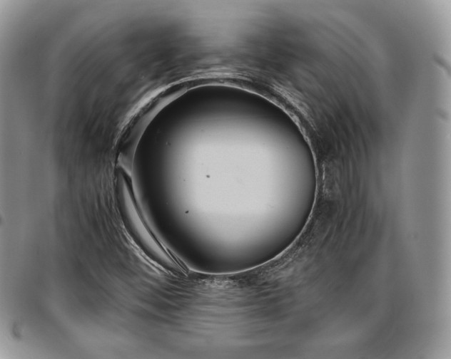 X0000097301452200802151427