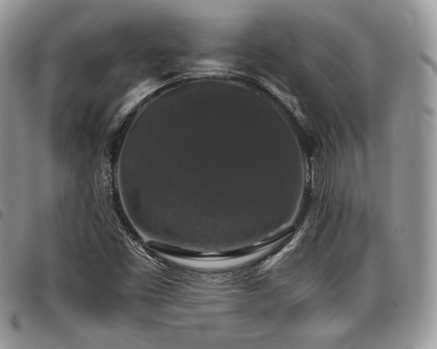 X0000097301453200802151427