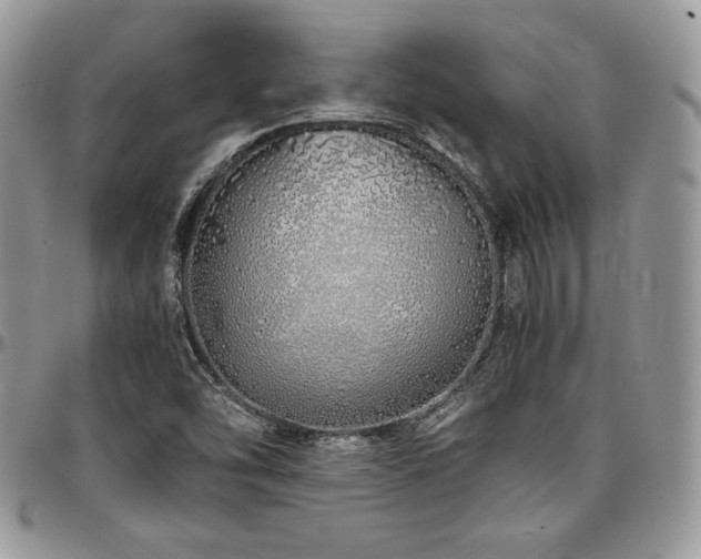 X0000097301454200802151427
