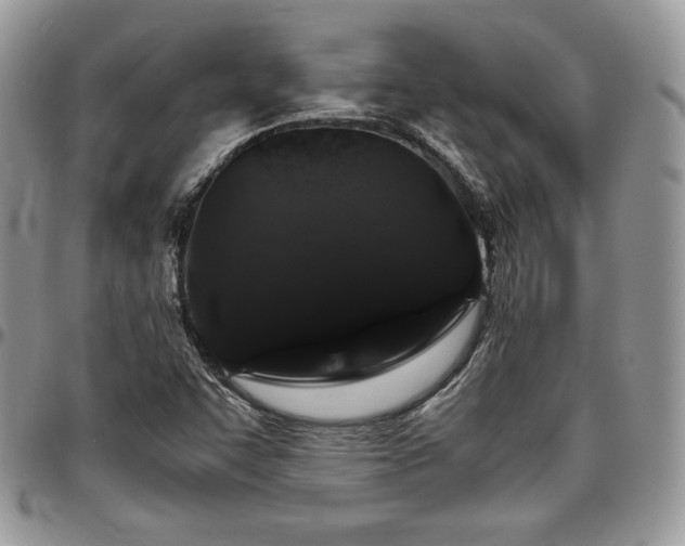 X0000097301455200802151427
