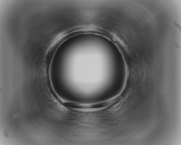 X0000097301456200802151427