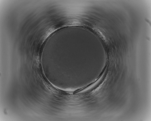 X0000097301457200802151427