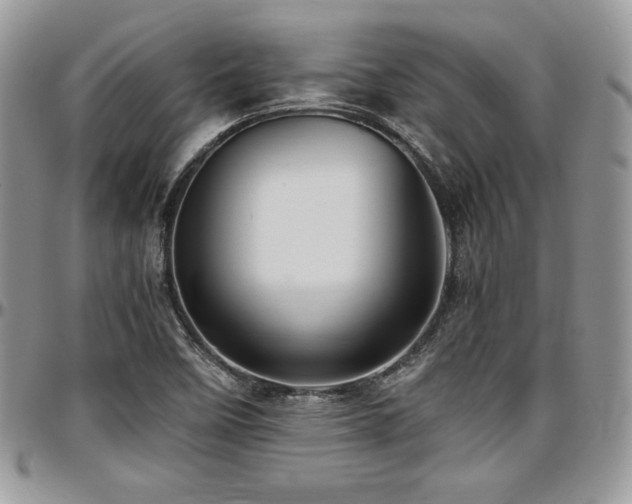X0000097301458200802151427