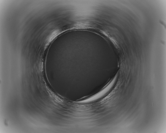 X0000097301459200802151427