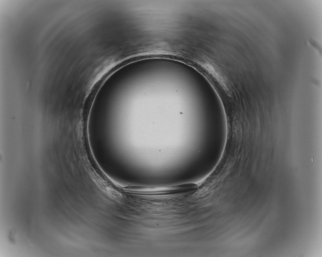 X0000097301460200802151427