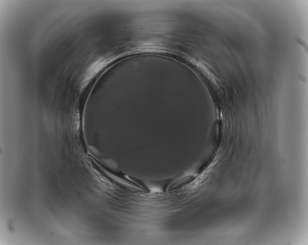 X0000097301461200802151427