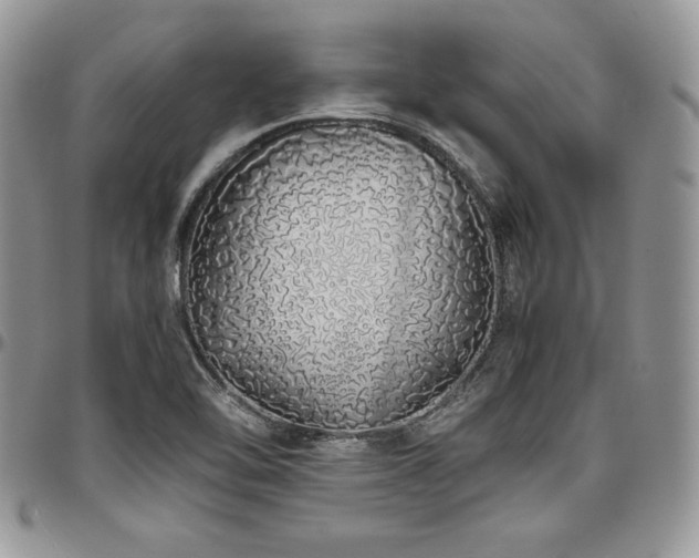 X0000097301462200802151427