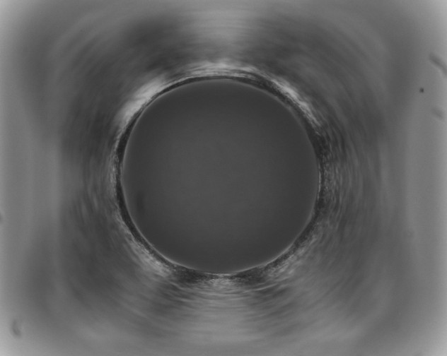 X0000097301463200802151427