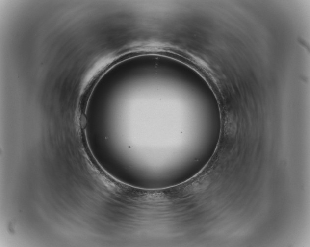 X0000097301464200802151427