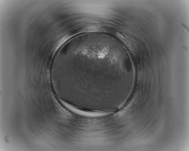 X0000097301465200802151427