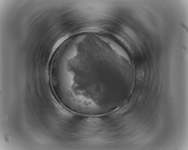 X0000097301466200802151427