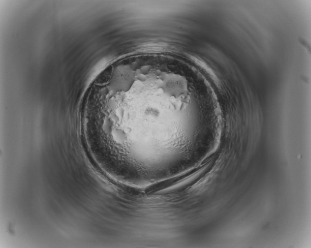 X0000097301467200802151427