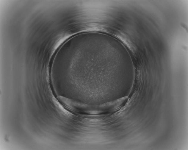 X0000097301468200802151427