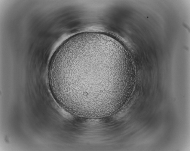 X0000097301470200802151427