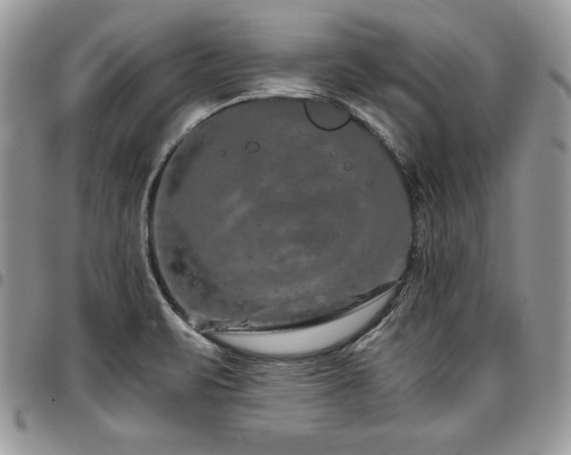 X0000097301471200802151427
