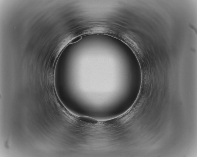 X0000097301473200802151427