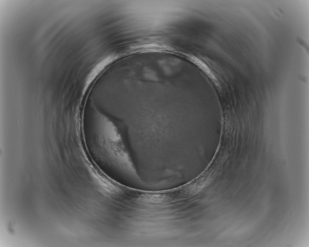 X0000097301474200802151427
