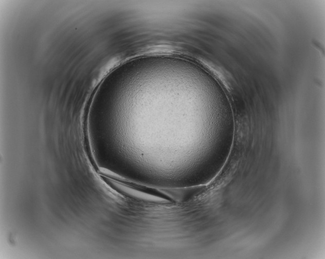 X0000097301475200802151427