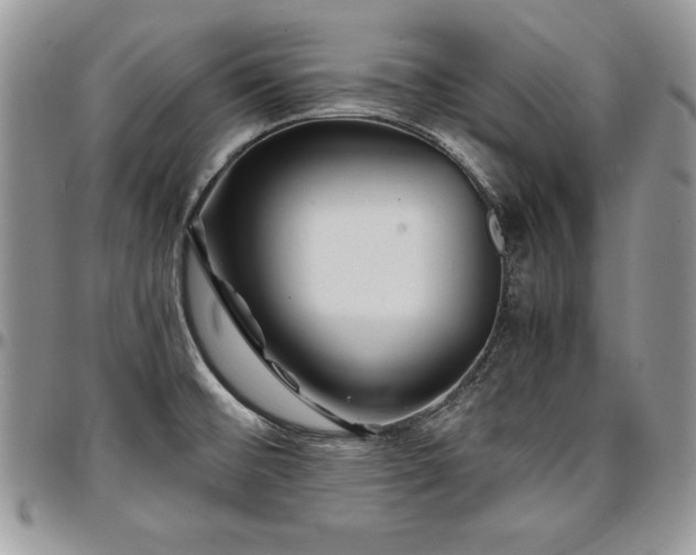 X0000097301476200802151427