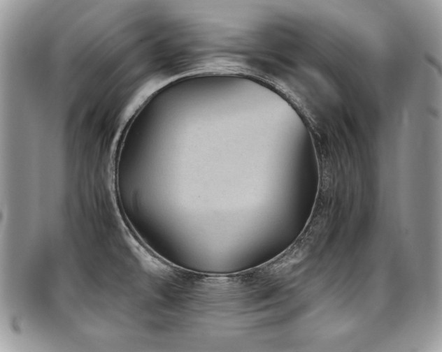 X0000097301478200802151427