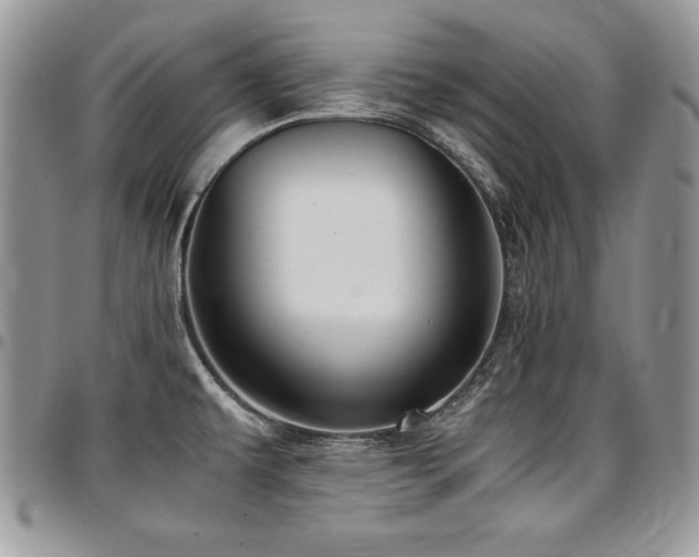 X0000097301479200802151427