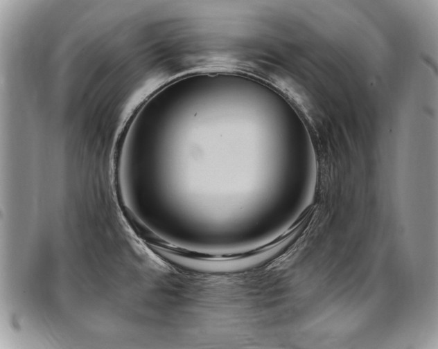 X0000097301480200802151427