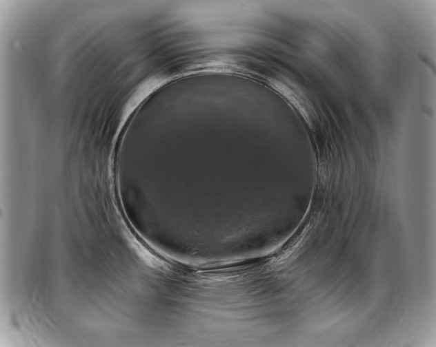 X0000097301482200802151427