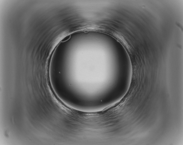 X0000097301483200802151427