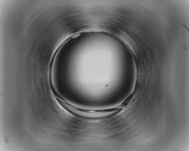 X0000097301484200802151427