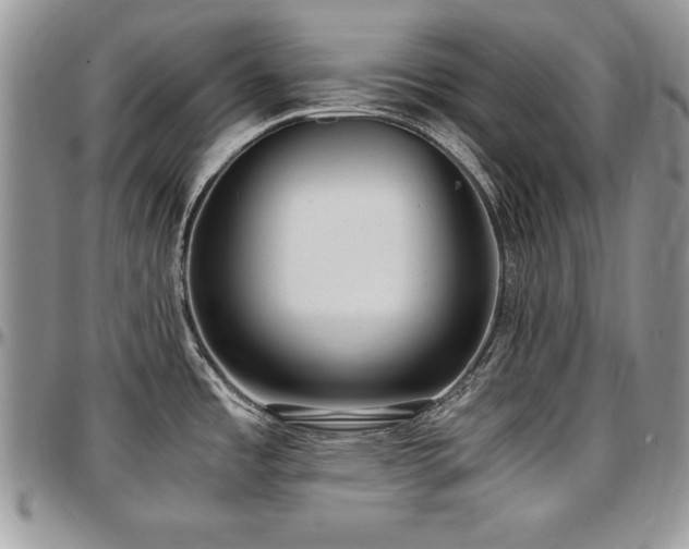 X0000097301485200802151427