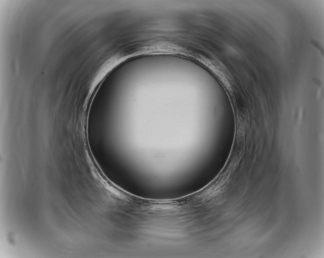 X0000097301486200802151427