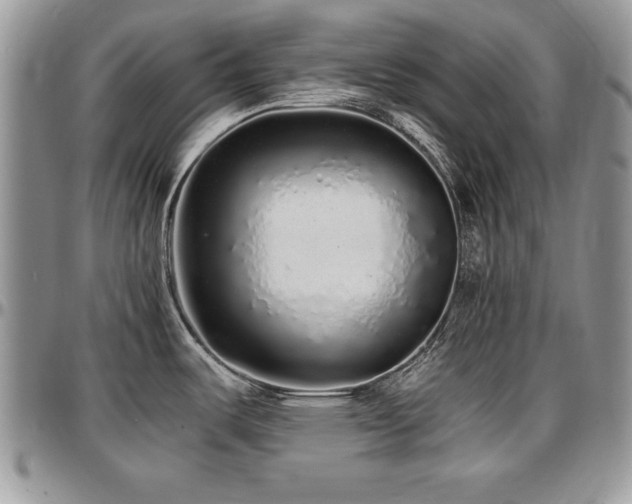 X0000097301487200802151427